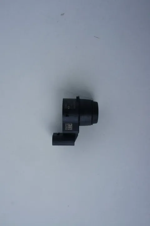 Article PLPG